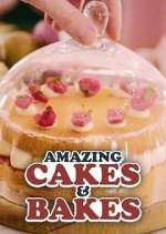 Watch Amazing Cakes & Bakes Megavideo