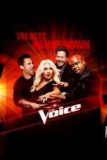 Watch The Voice Megavideo