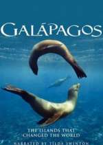 Watch Galapagos Megavideo