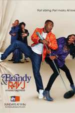 Watch Brandy and Ray J: A Family Business Megavideo