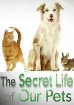 Watch The Secret Life of Our Pets Megavideo