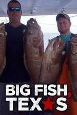 Watch Big Fish Texas Megavideo