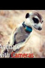 Watch Animals with Cameras Megavideo