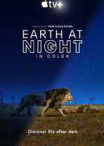 Watch Earth At Night In Color Megavideo