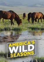 Watch America's Wild Seasons Megavideo
