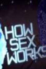 Watch How Sex Works Megavideo