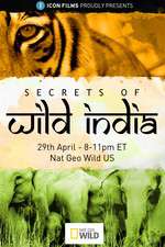 Watch Secrets of Wild India Megavideo