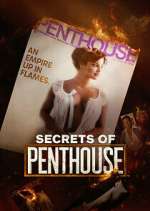 Watch Secrets of Penthouse Megavideo