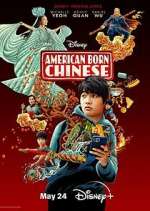 Watch American Born Chinese Megavideo