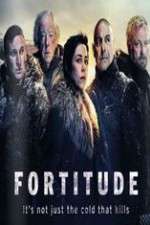 Watch Fortitude Megavideo