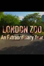 Watch London Zoo: An Extraordinary Year Megavideo
