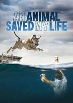 Watch An Animal Saved My Life Megavideo