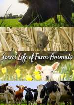 Watch Secret Life of Farm Animals Megavideo