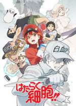 Watch Cells at Work! Megavideo