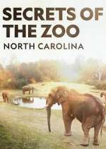 Watch Secrets of the Zoo: North Carolina Megavideo