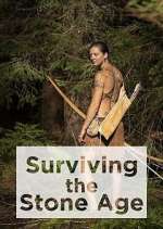 Watch Surviving the Stone Age Megavideo