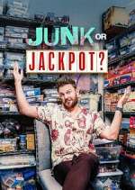Junk or Jackpot? megavideo