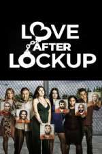 Watch Love After Lockup Megavideo