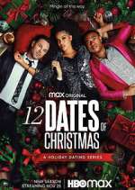 Watch 12 Dates of Christmas Megavideo