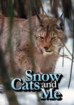 Watch Snow Cats and Me Megavideo