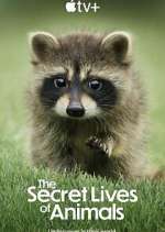 Watch The Secret Lives of Animals Megavideo