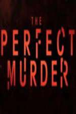 Watch The Perfect Murder Megavideo
