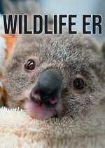 Watch Wildlife ER Megavideo
