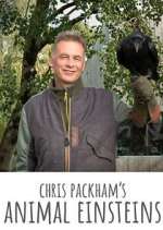 Watch Chris Packham's Animal Einsteins Megavideo