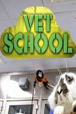 Watch Vet School Megavideo