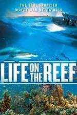Watch Life on the Reef Megavideo