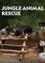 Watch Jungle Animal Rescue Megavideo