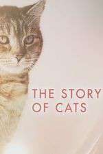 Watch The Story of Cats Megavideo