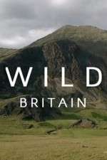 Watch Wild Britain Megavideo
