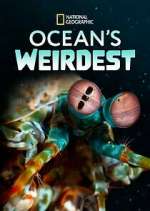 Watch Ocean's Weirdest Megavideo