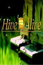 Watch Hive Alive Megavideo