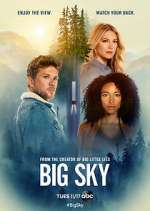 Watch Big Sky Megavideo