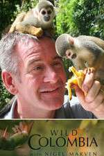 Watch Wild Colombia with Nigel Marven Megavideo