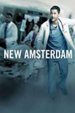 Watch New Amsterdam Megavideo