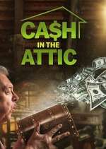 Watch Cash in the Attic Megavideo