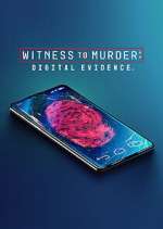 Watch Witness to Murder: Digital Evidence Megavideo