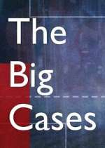 Watch The Big Cases Megavideo