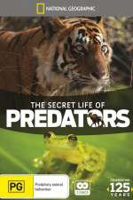 Watch Secret Life of Predators Megavideo