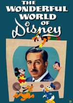 Watch The Wonderful World of Disney Megavideo
