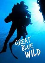 Watch Great Blue Wild Megavideo