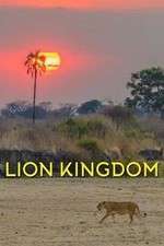 Watch Lion Kingdom Megavideo
