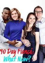 Watch 90 Day Fiancé: What Now? Megavideo