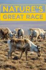 Watch Nature's Great Race Megavideo