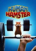 Watch Human vs. Hamster Megavideo