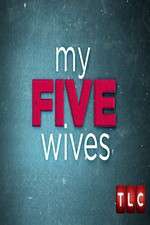 Watch My Five Wives Megavideo