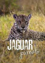 Watch Jaguar Journals Megavideo